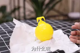 家庭养花有讨厌的小飞虫如何安全有效的除虫呢？