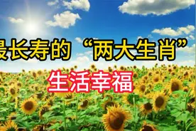 最长寿的“两大生肖”，生活幸福美满享尽荣华，晚年儿孙孝顺 ！视频封面