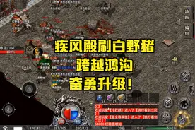 疾风殿刷白野猪，跨越鸿沟，奋勇升级！