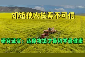 饥饿使人长寿，是真是假？研究证实：适度挨饿才最科学最健康