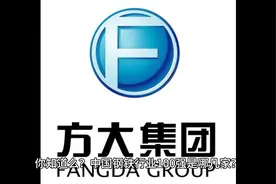 353期：中国钢铁行业第十二——辽宁方大集团视频封面