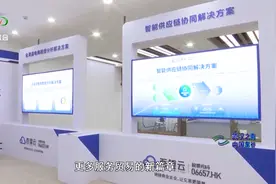 2024武汉数字服务贸易产业对接会举行视频封面