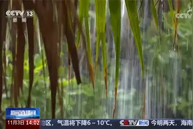 中央气象台 强冷空气来袭 多地气温将创立秋以来新低视频封面
