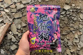 早就听说钓鱼王地狱猫效果好，没想到对比效果会这么好