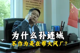 为什么孙连城不作为是帮大风厂？山水集团不等闲，那群工人没法比视频封面