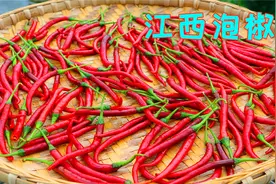做泡椒不用水也不用坛子，只需要几个矿泉水瓶，真的是太厉害了视频封面