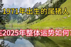 1971年出生的属猪人在2025年冲太岁，整体运势较为明显视频封面