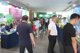 让小草莓迸发出大能量视频封面