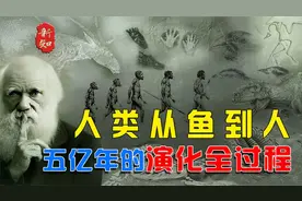 人类从鱼到人五亿年间的演化全过程。视频封面
