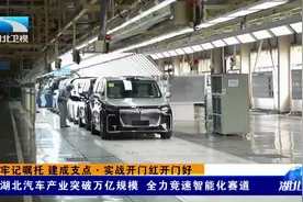 湖北汽车产业突破万亿规模 全力竞速智能化赛道视频封面