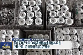 罗庄区年产10000吨高端铝合金零部件项目：打造高端汽配生产基地视频封面