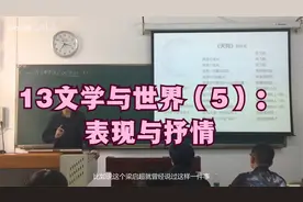 13文学与世界（5）：表现与抒情