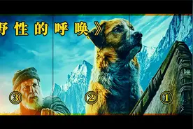《野性的呼唤》第1集 巴克从富家犬变成雪橇犬领袖历险记视频封面