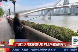 广州二沙岛垂钓者扎堆 钓上来的鱼能吃吗视频封面