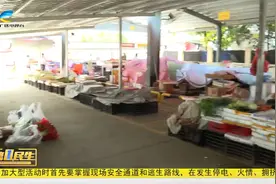 三亚槟榔村：告别“马路”进市场  自产自销更便民视频封面