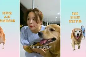退役搜救犬勇斗小偷，舍命保护女主人，太忠诚了！视频封面