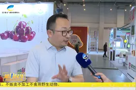 2024海南国际热带水果产业博览会在三亚开幕视频封面