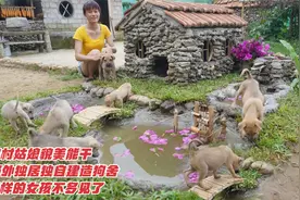 农村姑娘貌美能干，野外独居独自建造狗舍，这样的女孩不多见了视频封面