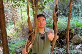 今天上山找葛根虫，听说能卖140一斤，吃起来特别香视频封面