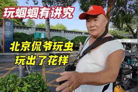 老北京侃爷玩蝈蝈，一只能养半年，从挑选到玩法说得头头是道