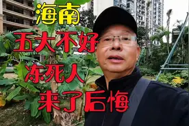 海南五大不好！尤其冬天，不能避寒，受不了！海口三亚区别太大