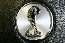 四个“动物”标志的汽车，看到请自觉远离，宾利看到也不敢靠近