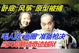 卧底“风筝”原型被捕，毛人凤准备枪决，当天却翻墙奇迹越狱视频封面