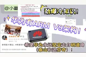 冷知识！华为有ARM V9架构!希望华为永远坚定自己的泰山和达芬奇