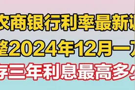 农商银行利率最新调整2024年12月一万存三年利息最高多少视频封面