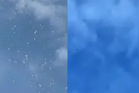 西安现大量白点状不明飞行物，当地网友晒视频揭秘真相，官方回应