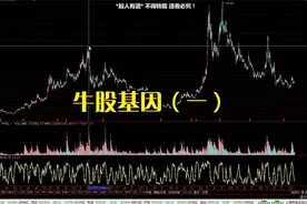 牛股基因（上）视频封面