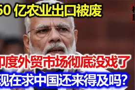 60亿农业出口被废，印度外贸市场彻底没戏了，现在求中国来得及吗视频封面