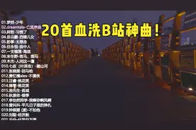 20首血洗B站神曲！第2首开口，弹幕集体刷年代。视频封面