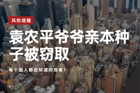 袁农平爷爷亲本种子被窃取！这些危害应该要知道！视频封面