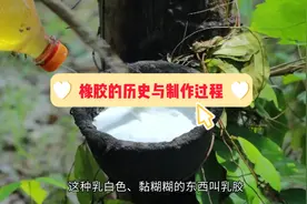 橡胶的历史与制作过程