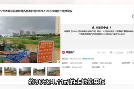 昔日广西首富，原估值8.4亿高坡岭土地被拍卖，5.2亿起拍视频封面