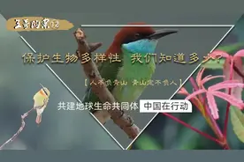 《天哥问案》第12集：共建地球生命共同体，老中在行动视频封面