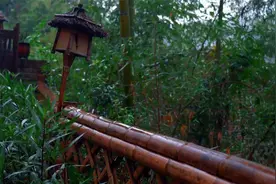 【雨声助睡眠】庭院舒缓的细雨声伴你放松入睡 自然白噪音视频封面