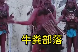 说十种牛粪的用法，少数部落的发胶，牛粪部落。