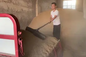 稻谷晒干了，小伙拉一车去卖，看一亩地卖多少钱？比去年少的多视频封面