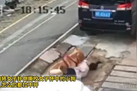 大狗将女子扑倒撕咬女子怀中的小狗，主人怎么拉都拉不开视频封面
