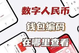 数字人民币钱包编码在哪里查看？