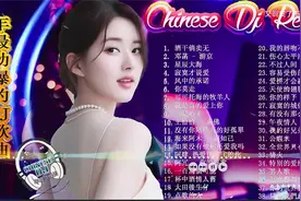 💢最火劲爆的DJ歌曲_(中文舞曲)🎴最震撼的深夜酒吧DJ嗨曲合集
