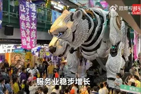 【辽宁GDP增速连续7个季度赶超全国水平】北斗融媒视频封面