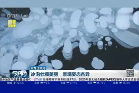 逊克县东山湖现大面积“冰泡”，壮观美丽，千姿百态，如梦如幻视频封面