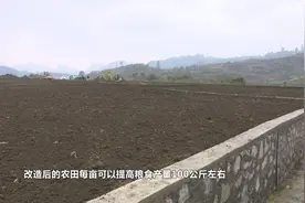 贞丰：强化耕地保护 建好高标准农田视频封面