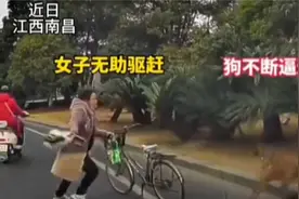 女子独自骑车赶路，狗紧随其后，令人揪心#女子被恶狗追赶不放视频封面