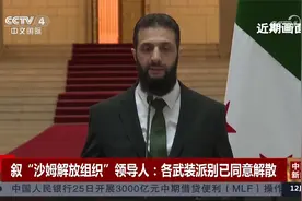 叙“沙姆解放组织”领导人：各武装派别已同意解散视频封面