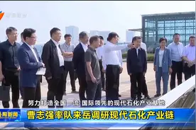 曹志强率队来岳调研现代石化产业链视频封面