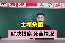 土壤杀菌消毒解决根腐死苗，土壤杀菌消毒用什么杀菌剂比较彻底！视频封面
